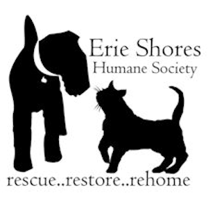 This is our logo and to the left is a slide show of dogs and cats